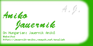 aniko jauernik business card