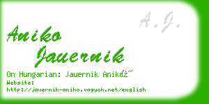 aniko jauernik business card